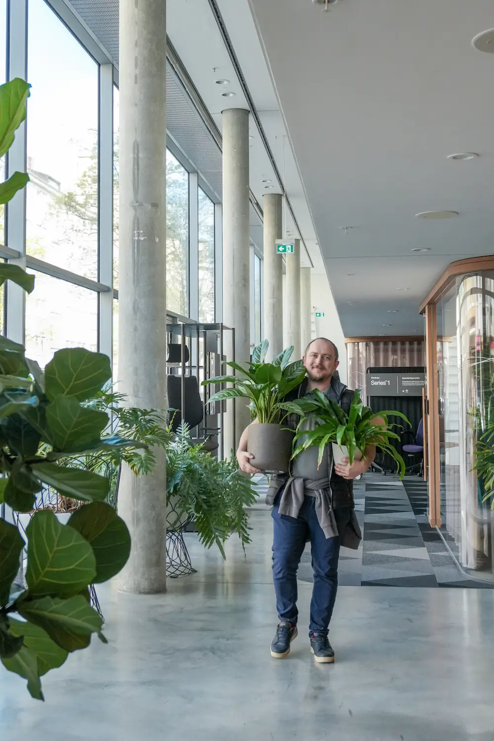 Professionelle Pflanzenpflege durch Lifestyle Raumbegrünung