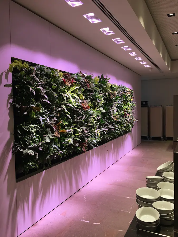 Vertikale Begrünung Projekt 4