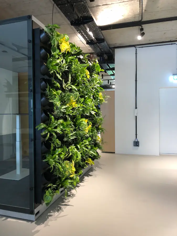 Vertikale Begrünung Projekt 7