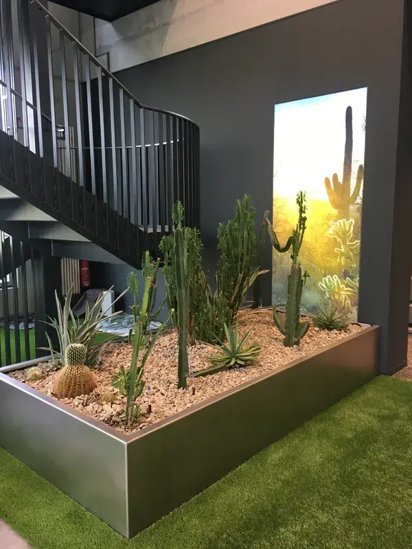 Kakteen-Arrangement im Designgefäß