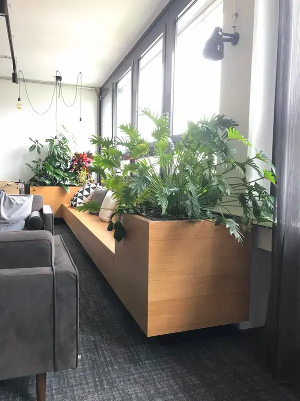 Fensterbank-Begrünung in der Lounge